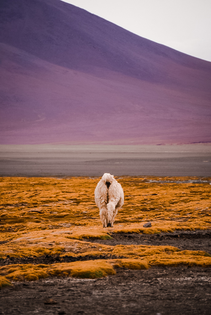 Sunhild Agel Photography Portfolio Bolivia